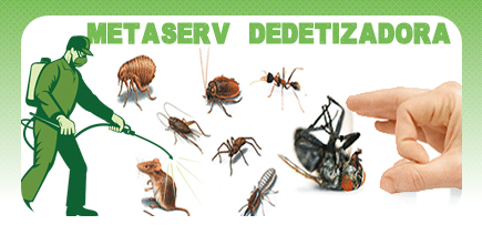 Metaserv Dedetizadora