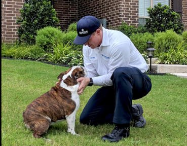 Ilustração Dedetizador e animal, Metaserv dedetizadora eficaz contra pulgas