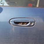 Aranha gigante no carro