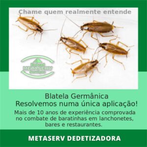 Dedetização de Baratinhas em Bar, Restaurantes e Lanchonetes