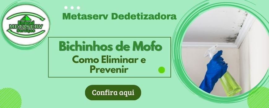Bichinhos de Mofo: Como Eliminar e Prevenir: Dicas Metaserv