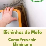 Bichinhos de Mofo: Como Eliminar e Prevenir Futuros Problemas: Dicas da Metaserv Dedetizadora