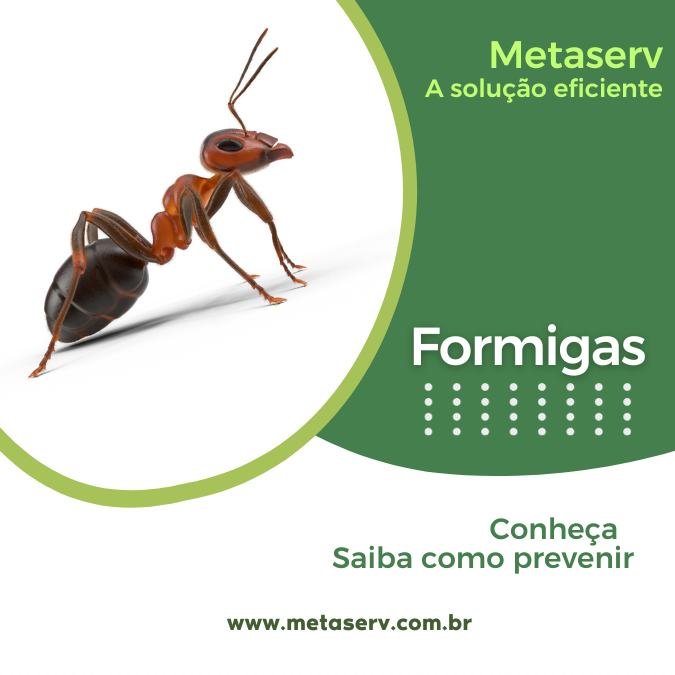 Imagem de uma Formiga, com link para informações e dicas de como se prevenir e eliminar